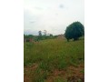 land-for-sale-in-matuggga-small-2