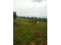 land-for-sale-in-matuggga-small-1